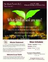 Fifteenth Sunday OT, July 12 2026